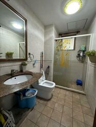 The Rivervale (D19), Condominium #463245541